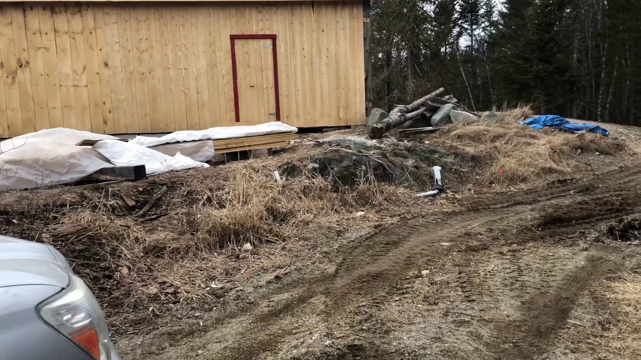 Swift Osprey