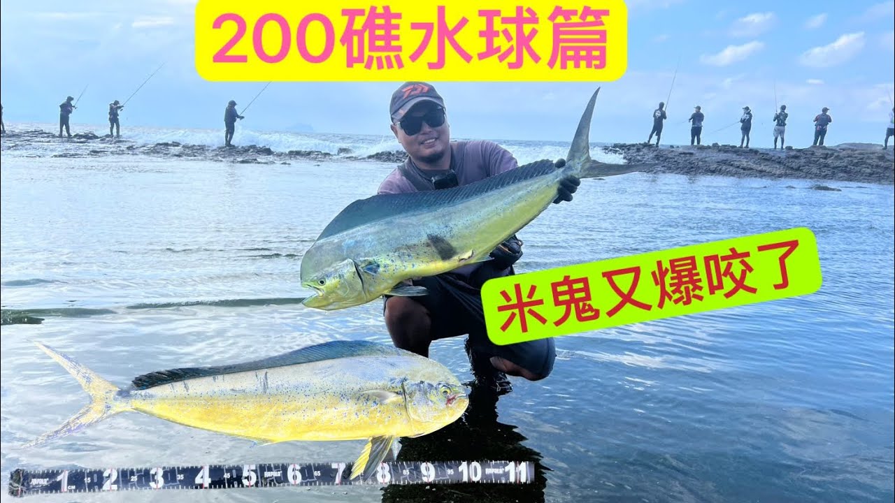 200礁鬼頭刀又來了 雙十節大咬傳說是真的 200礁水球篇 #岸拋 #水球釣組 #fish #200礁 #鬼頭刀 #fishing  #海男釣魚頻道