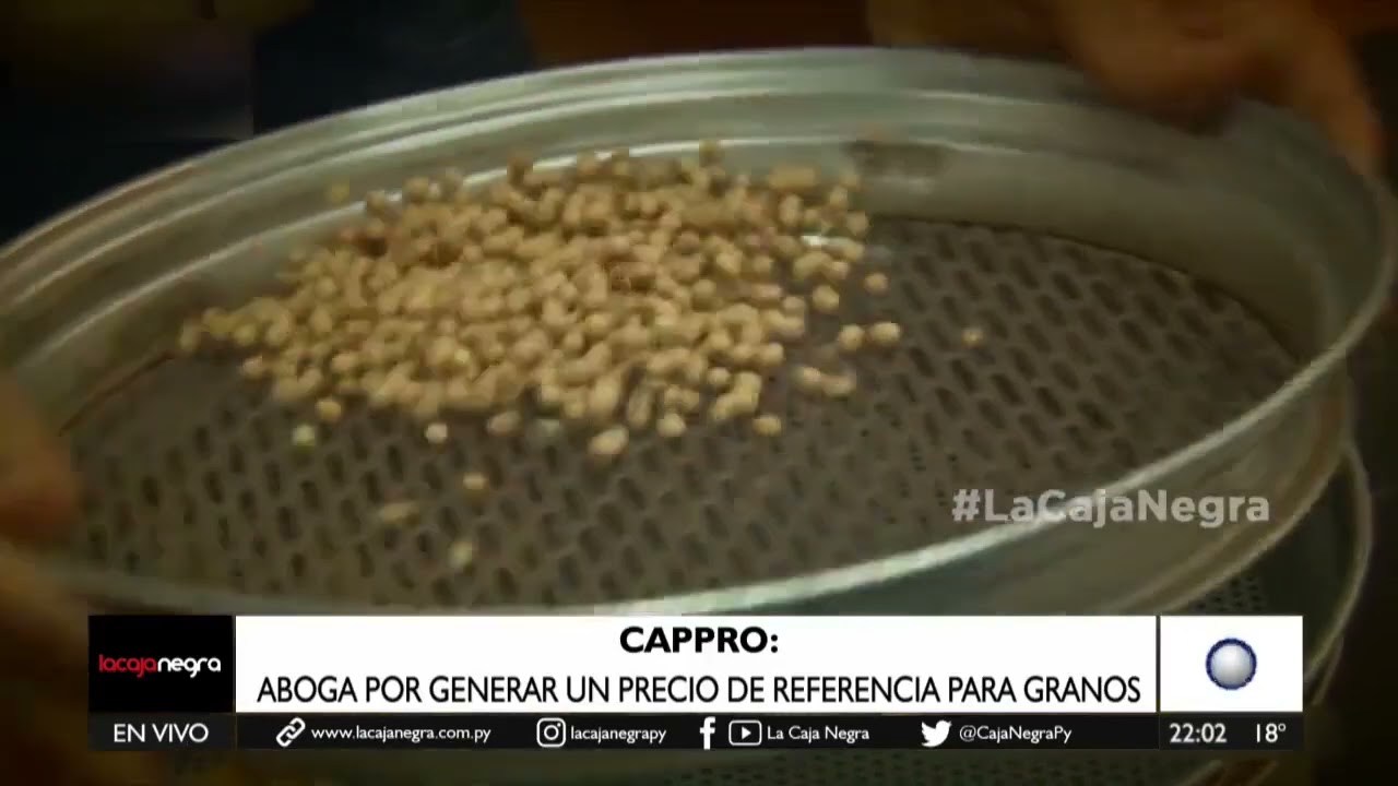 Industria aceitera busca replicar modelo argentino para potenciar agroproducci&oacute;n