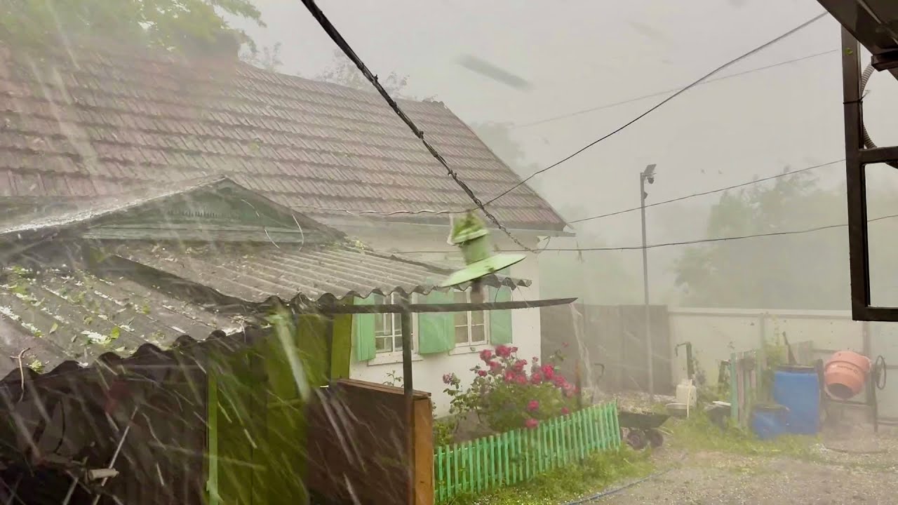 ВСЁ УНИЧТОЖЕНО! ОГОРОДА БОЛЬШЕ НЕТ! РАЗБИРАЕМ ЗАВАЛЫ