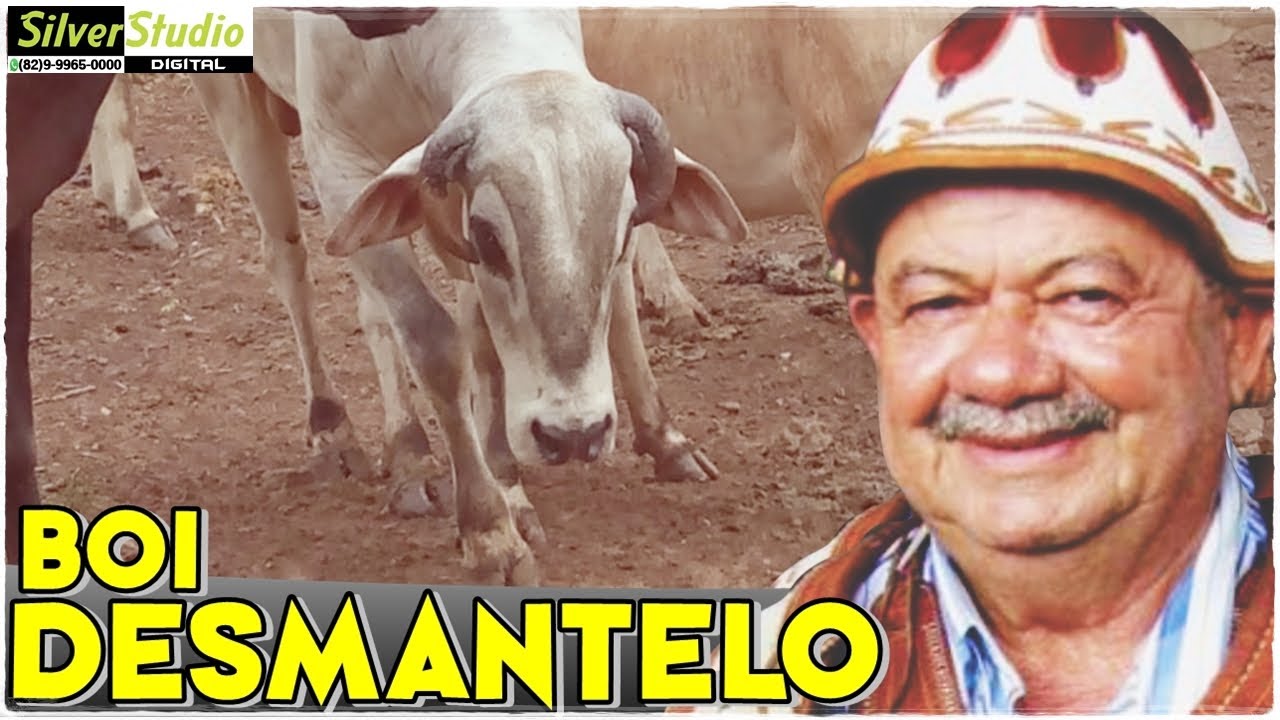 ZÉ DE ALMEIDA - BOI DESMANTELO | O BOI QUE NINGUÉM PEGAVA