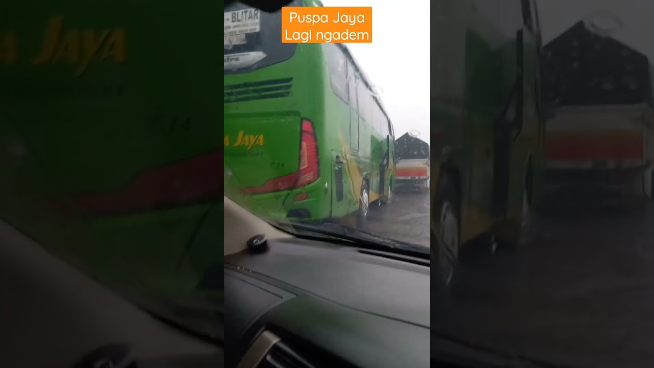 bus puspa jaya lagi ngadem #bismania #puspajaya #shorts