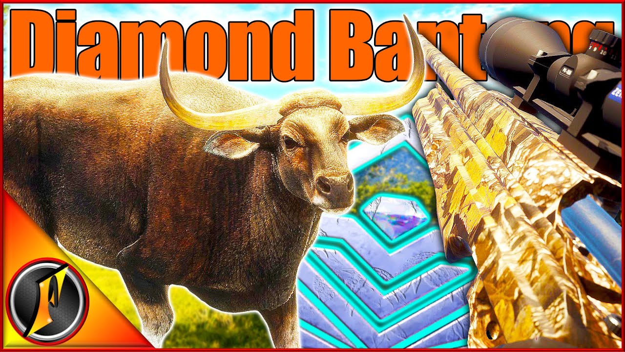 I Think We Just Summoned a Diamond Banteng 😂 + More on Emerald Coast!
