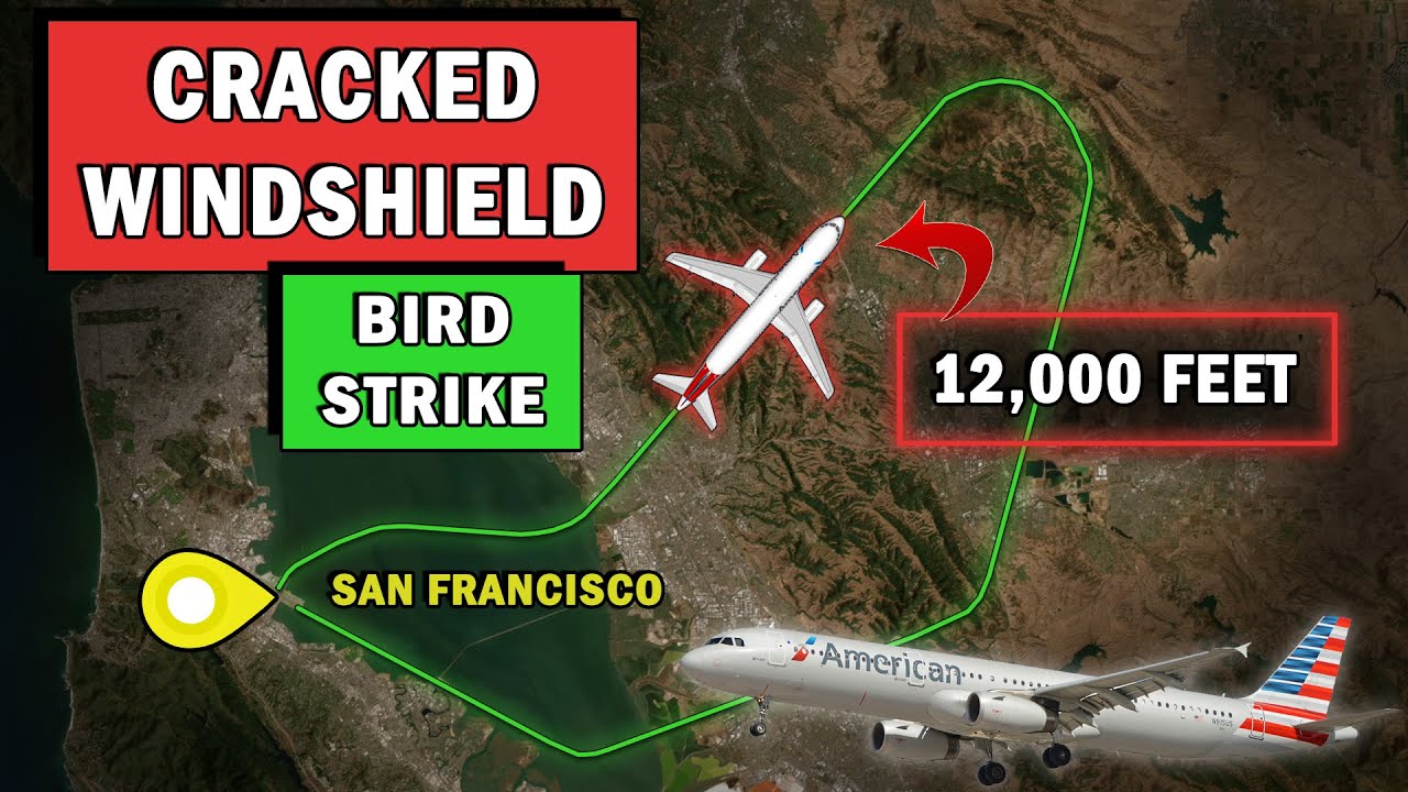 Bird Strike at 12,000 Feet? | Cracked Windshield and Return to SFO