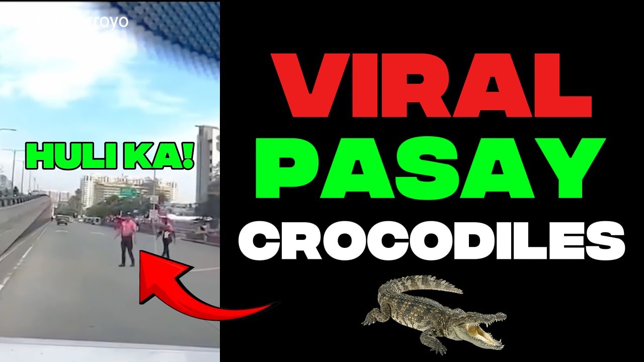 VIRAL PASAY CROCODILES | BABALA SA MGA DADAAN NG PASAY