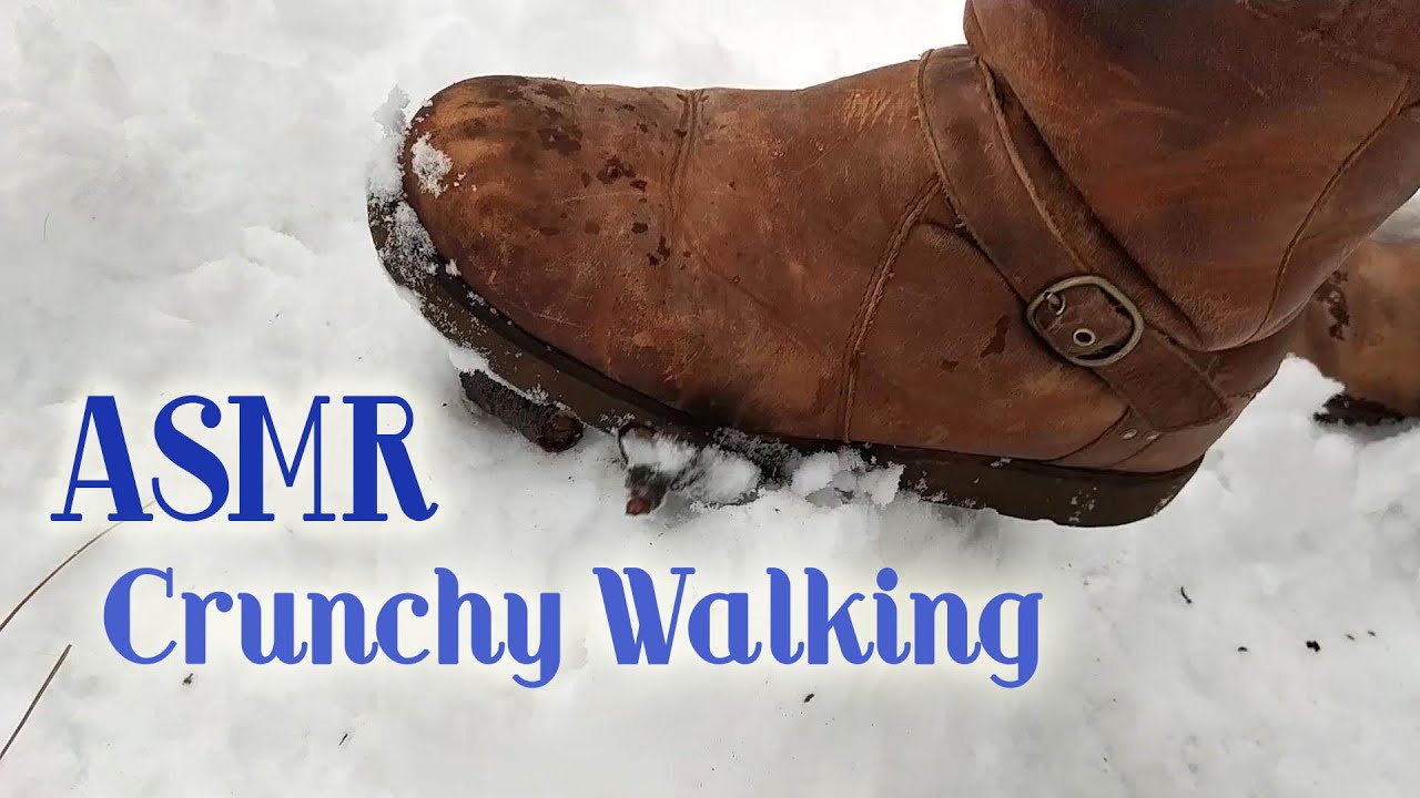 ASMR - Crunchy Walking on Snow, Sticks, Pinecones (and MORE SNOW) 🌰❄ 1hr No Talking, Looped