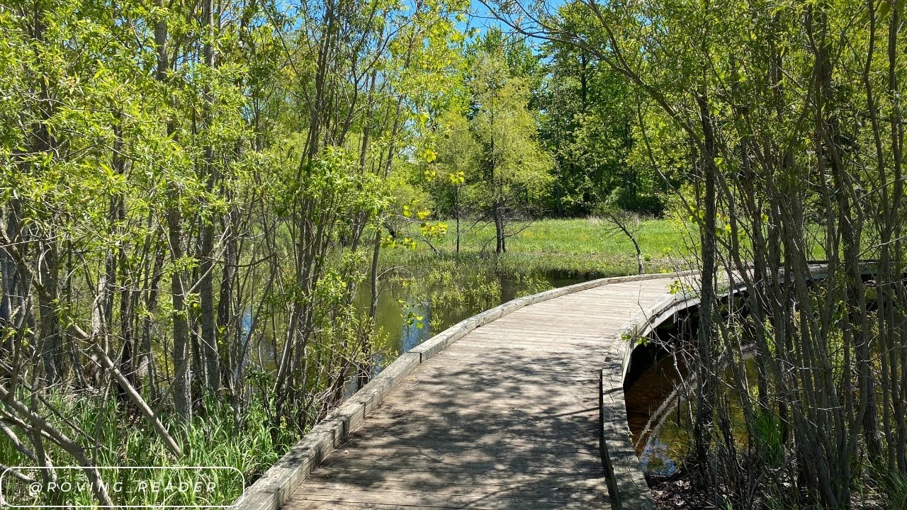 Spring Meadow Ambience | 45 Mins of Birdsongs, Frogs, and Other Nature Sounds from a Michigan Meadow