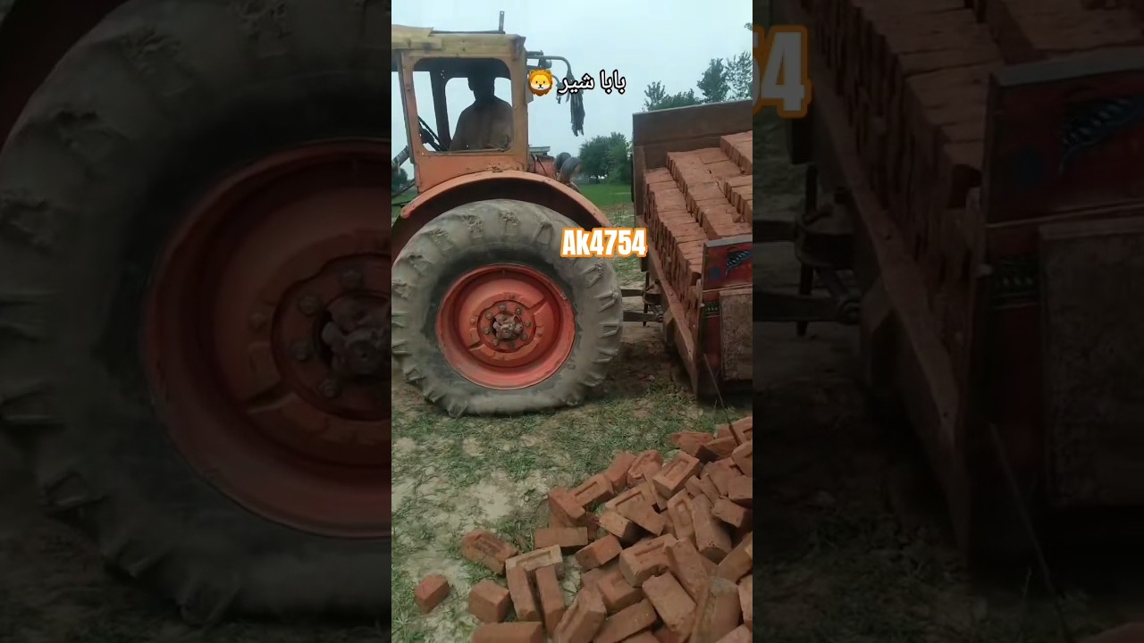 Belarus 510 power with Lord trolley 🙆😲😮🙆 | tractor video | tractor stunts video | tractor #tractor