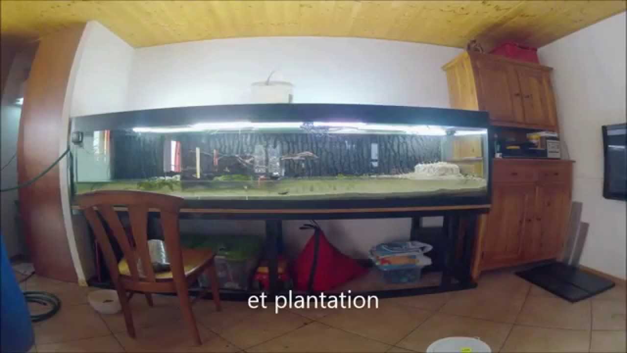 Grand nettoyage aquarium avec mise en place d'un sol nutitif