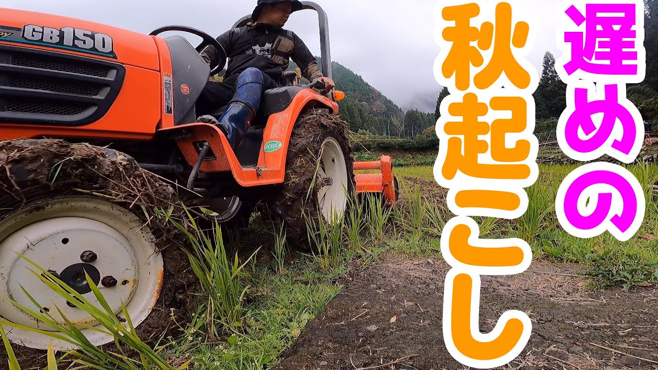 【米作り】遅めの秋起こしをやりました【秋起こし やり方 クボタGB150で田起こし トラクター 田んぼ 農業 水稲栽培 田鋤き 2023年米作りの下準備】