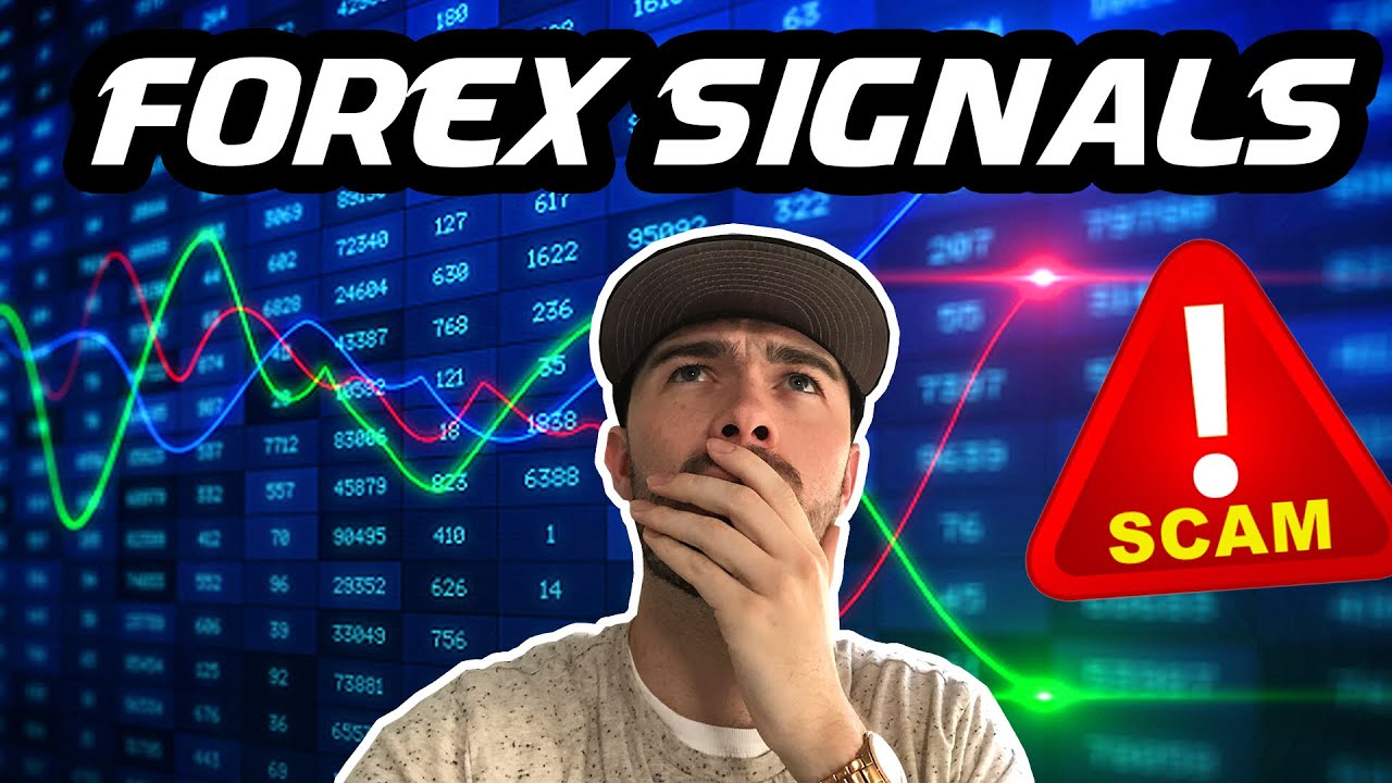 FOREX TRADING - Are Forex Signals A Scam? - MUST SEE