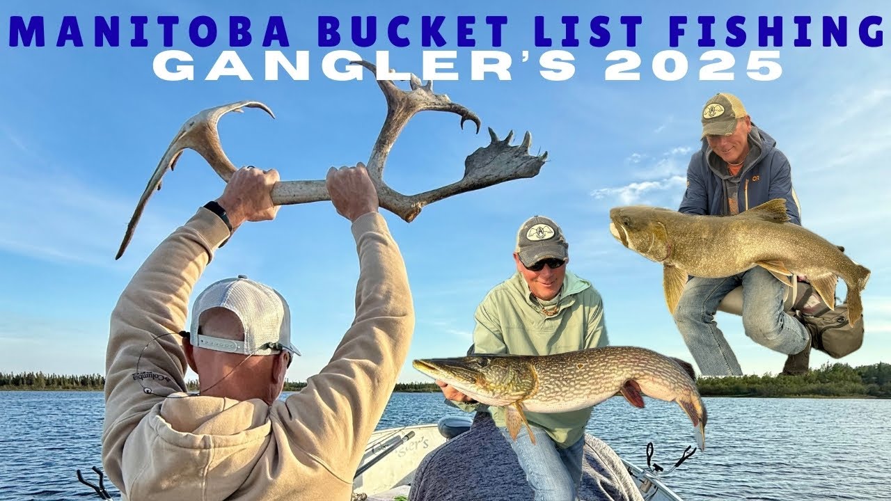 Manitoba Bucket List Fishing -  Gangler's 2025