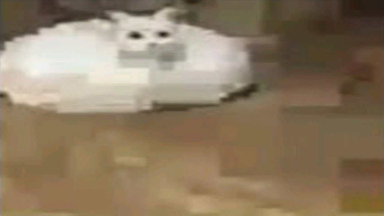1 Minute of Low Quality Memes