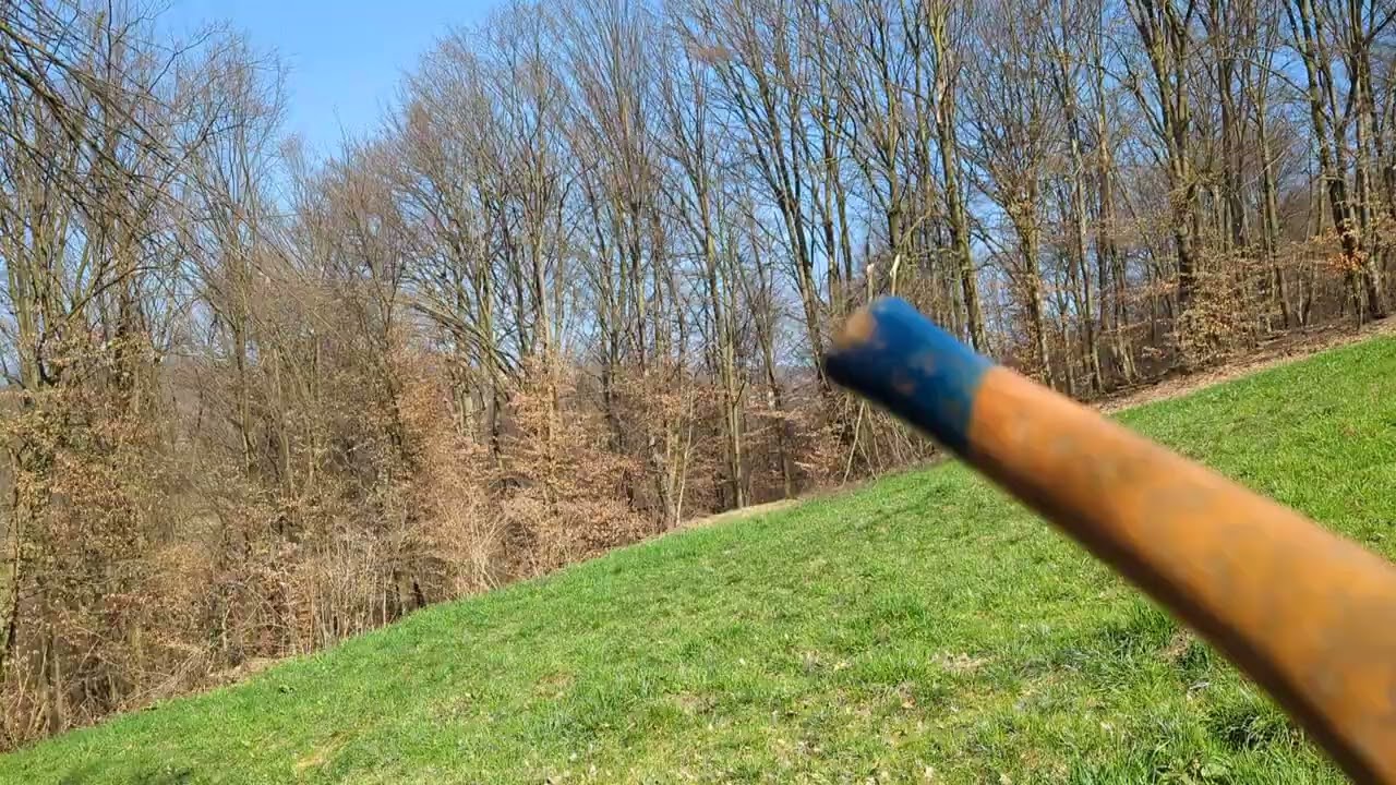 ŠEJTANSKA POSLA ?
