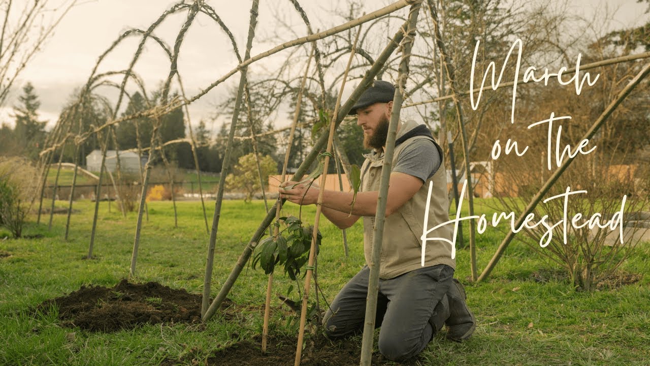 #15 Peaceful Countryside Vlog | English Cottage-Style Arched Trellis, Spring Preparations