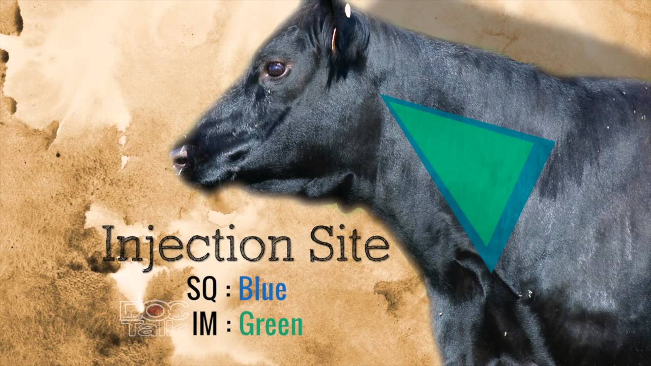 BQA Injection Site