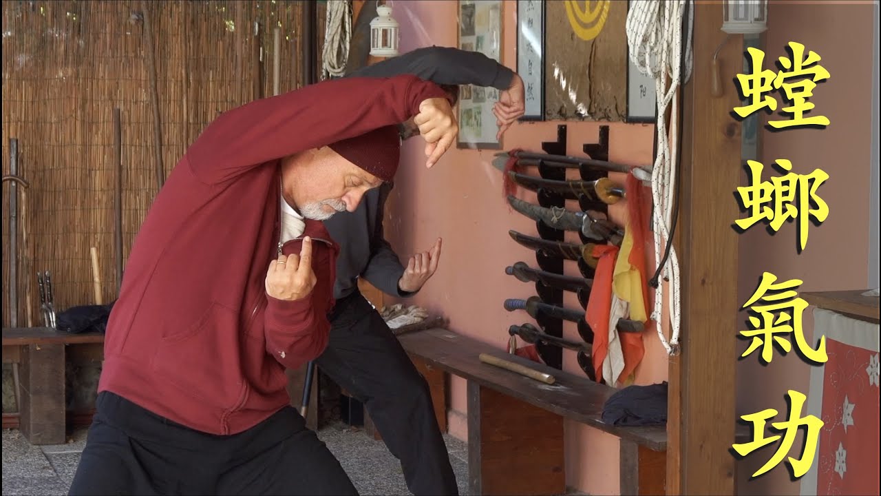 螳螂拳 Mantis Qi Gong