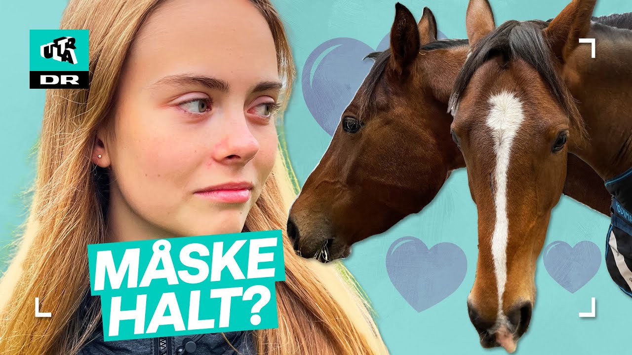 Cecilie skal have sin første hest! Klarer den dyrelægetjek?