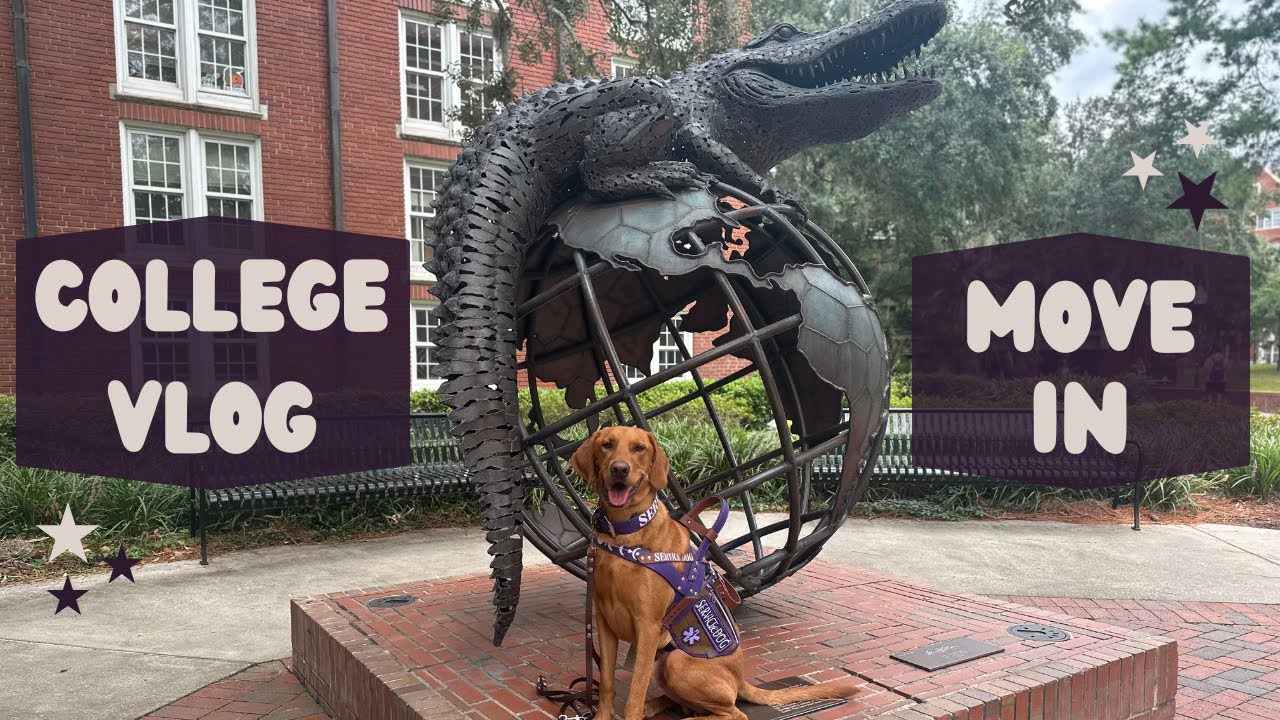 Moving into a College Dorm with my Service Dog