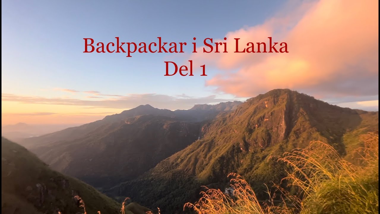 Allt är kaos...  | BACKPACKAR I SRI LANKA del 1