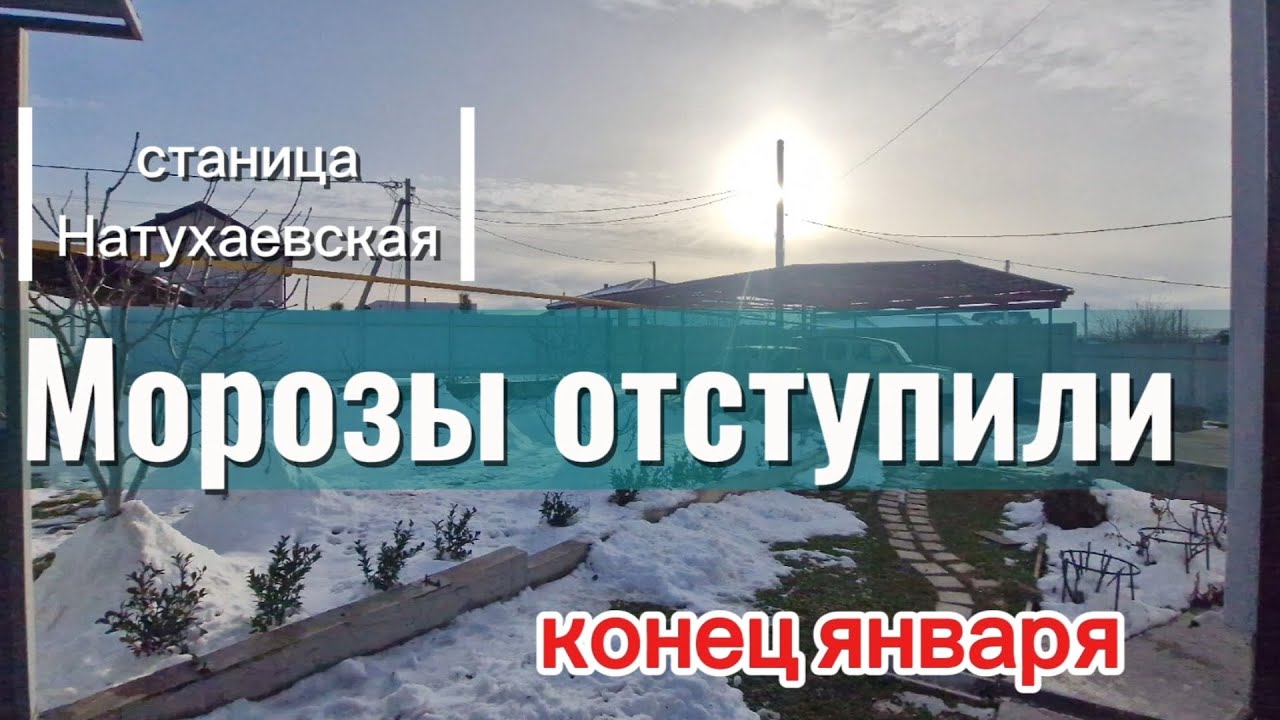 Зима на Юге. Конец января. Станица Натухаевская. Теплица из плёнки Светлица