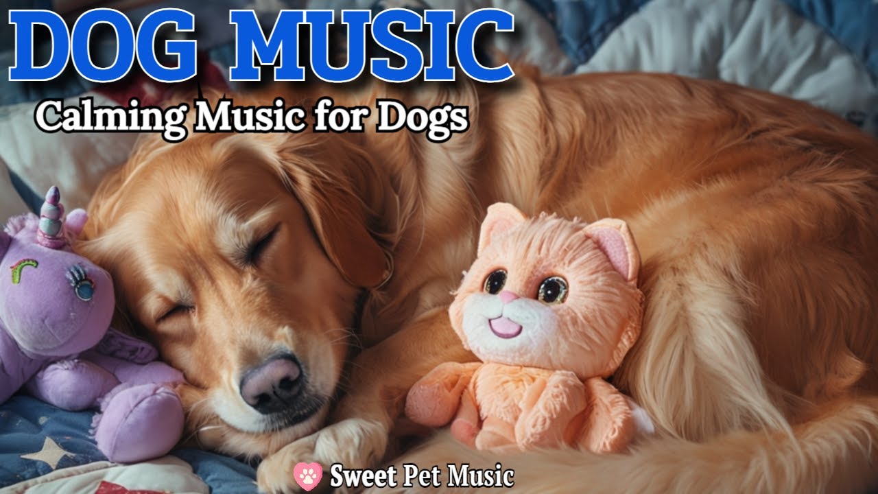 20 Hours of Calming Dog Music🦮💖Gentle Piano for Stress & Fear Relief🎵🐶Instant Calm, Dog TV