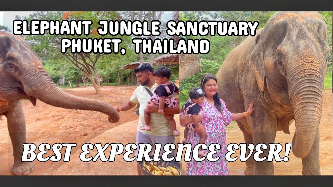 Elephant Jungle Sanctuary Phuket | Magical experience with these gentle giants