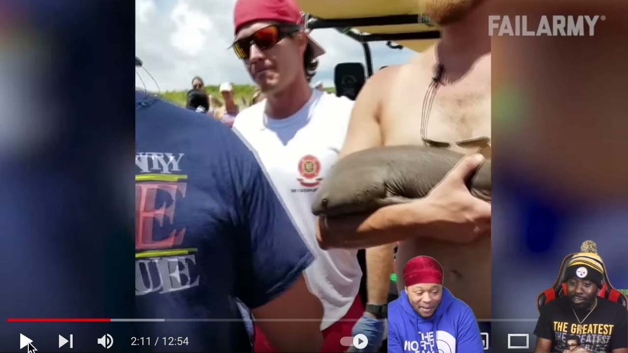 Animal Close-calls!! REACTION!! FUNNY!!!!
