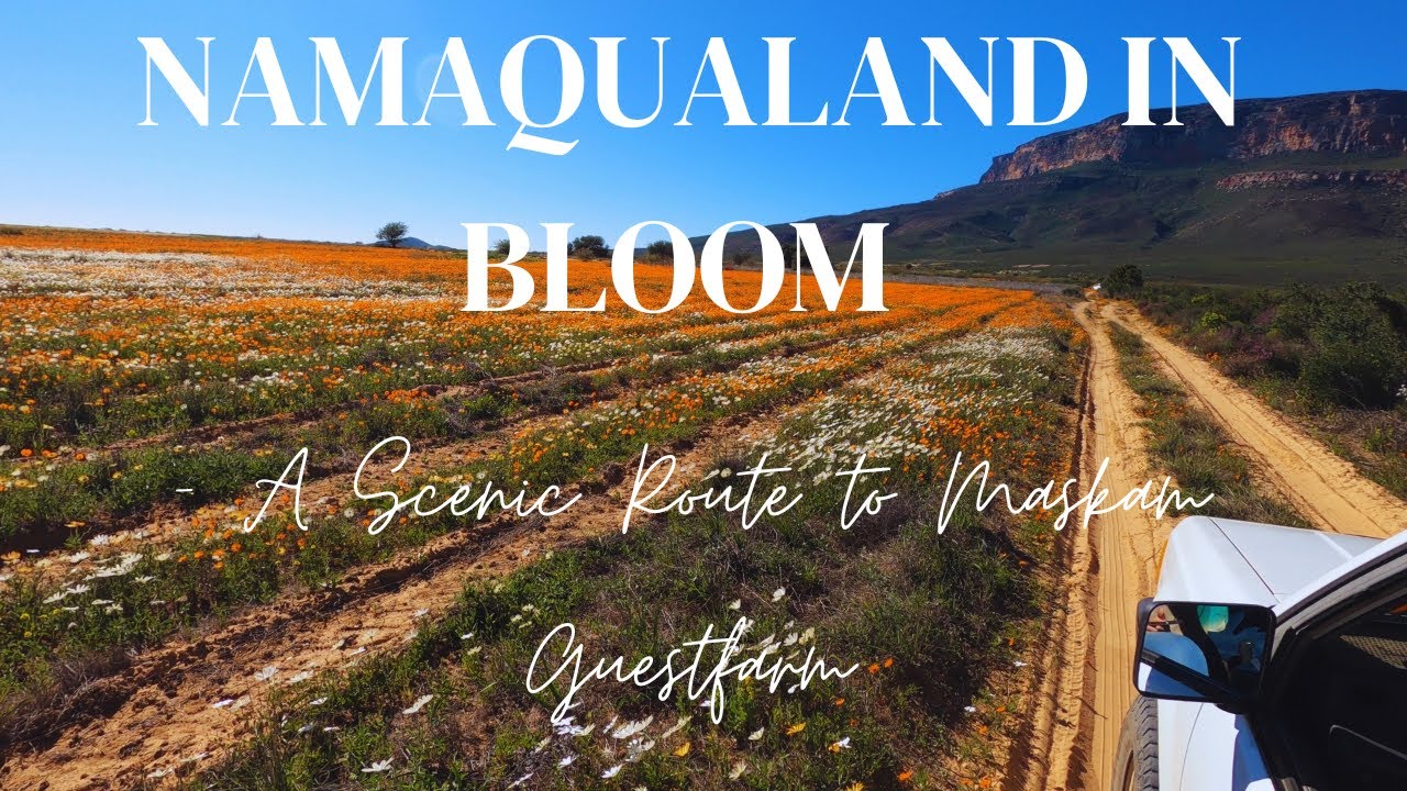 A Scenic flower Route through Maskam Guestfarm in South Africa