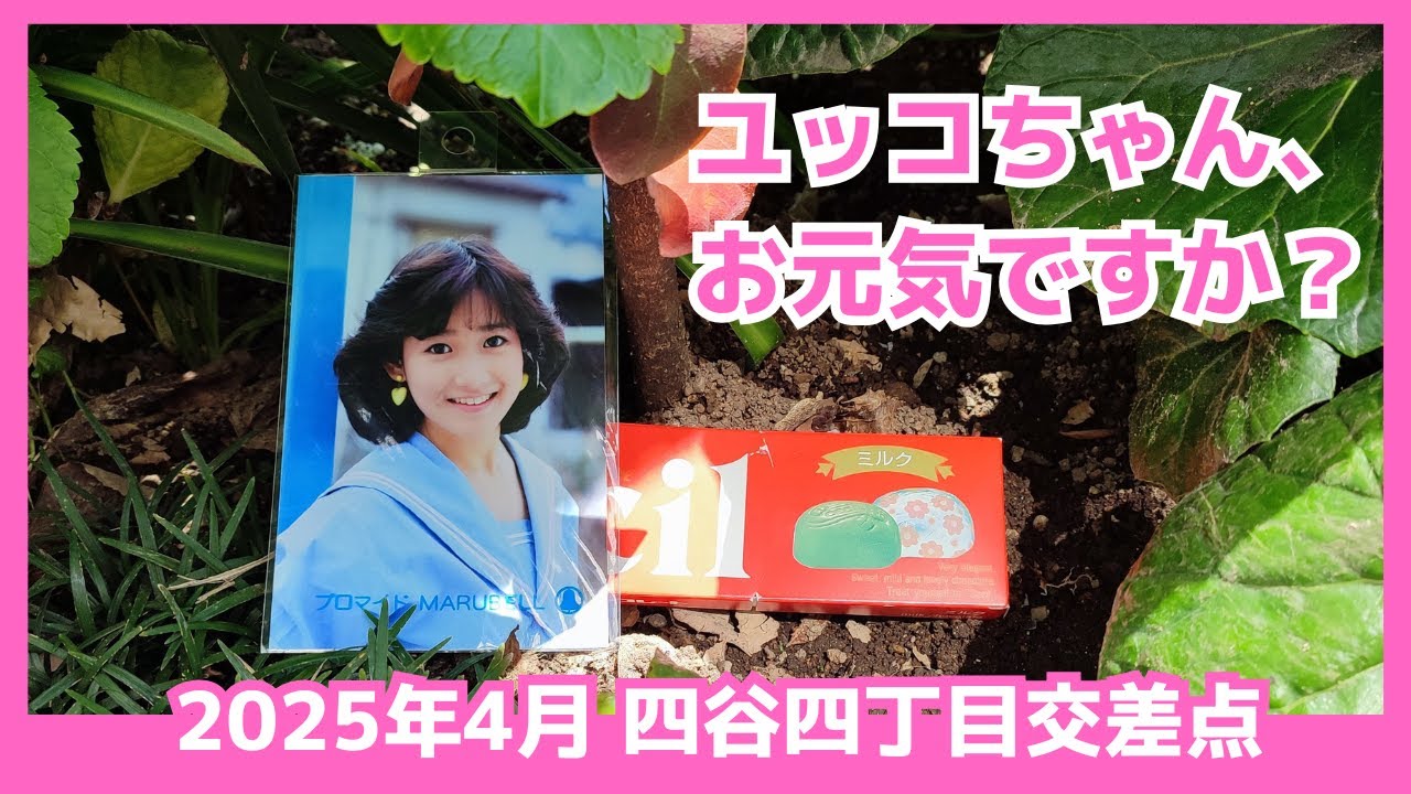 【2025年4月】岡田有希子と四ツ谷・大木戸ビルの風景～ユッコちゃん、お元気ですか？～