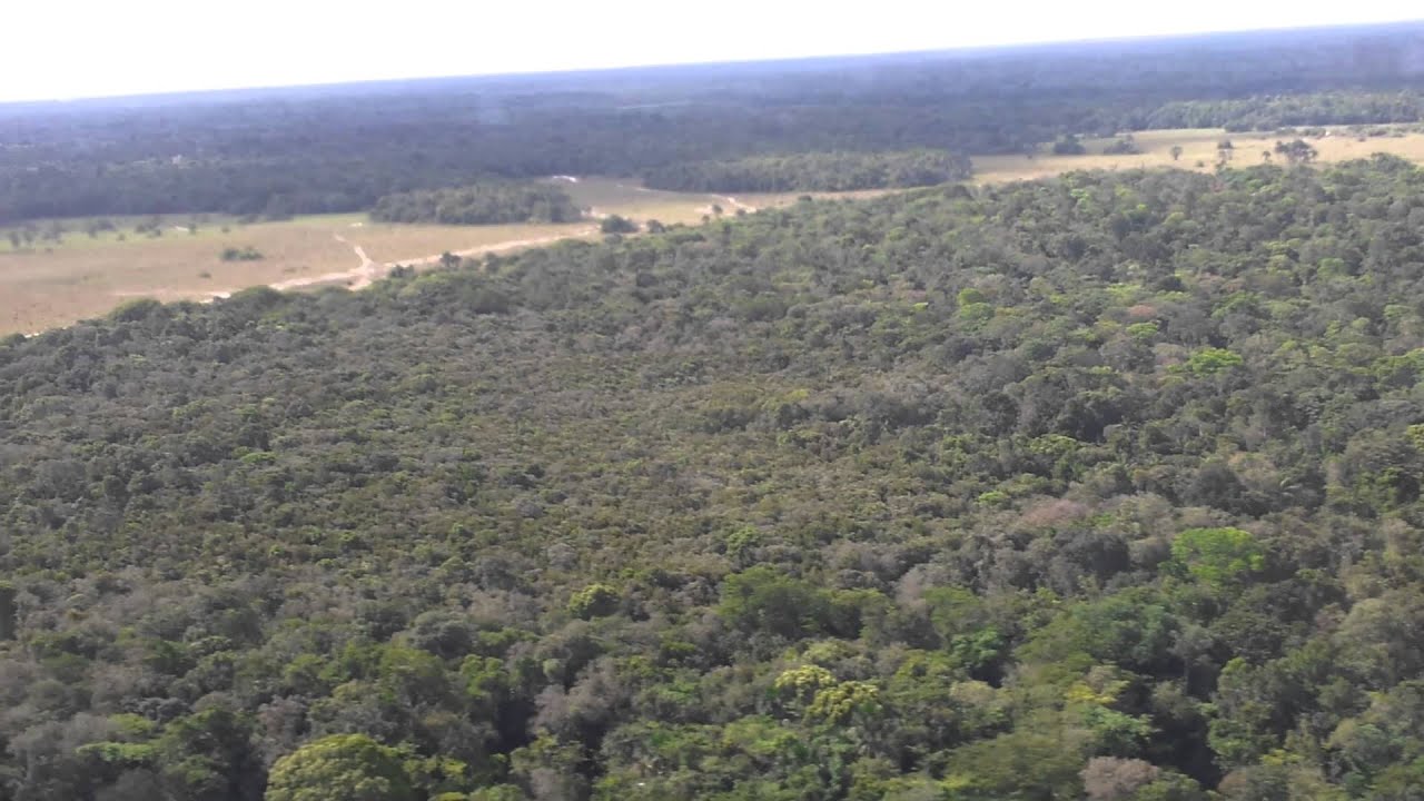 KLM  LANDING AT ZANDERIJ