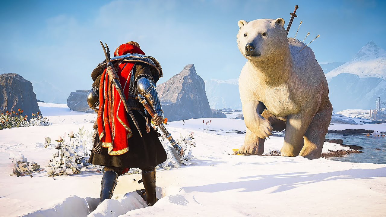 Un gros Ours pas si Mignon (Assassin's Creed Valhalla)