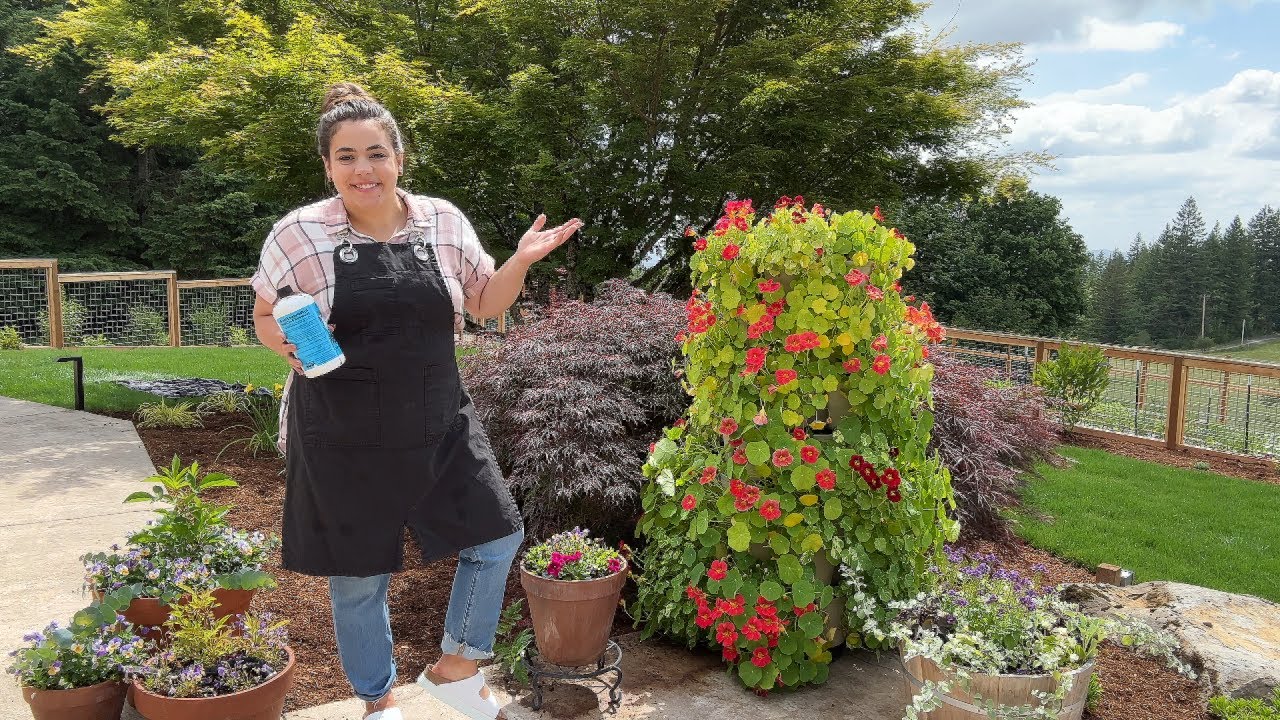 Around the house happenings and Farmer's Market Shop With Me!