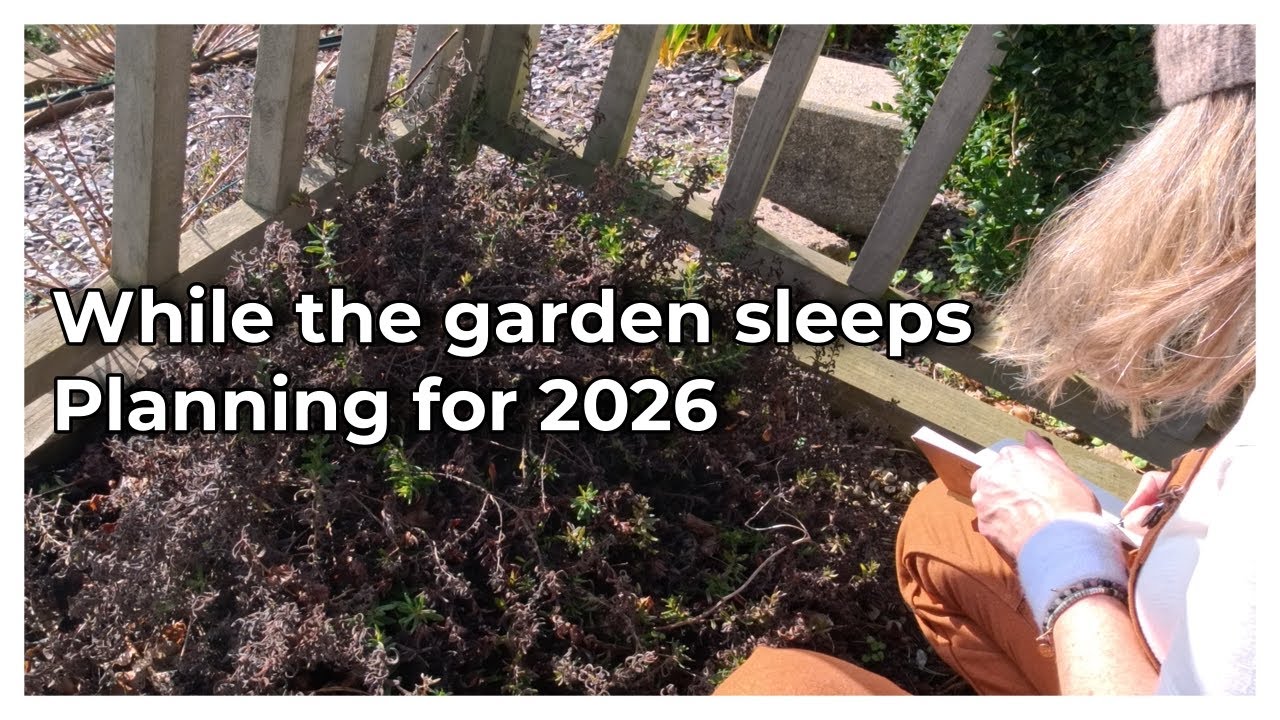 While the garden sleeps - Planning for 2026