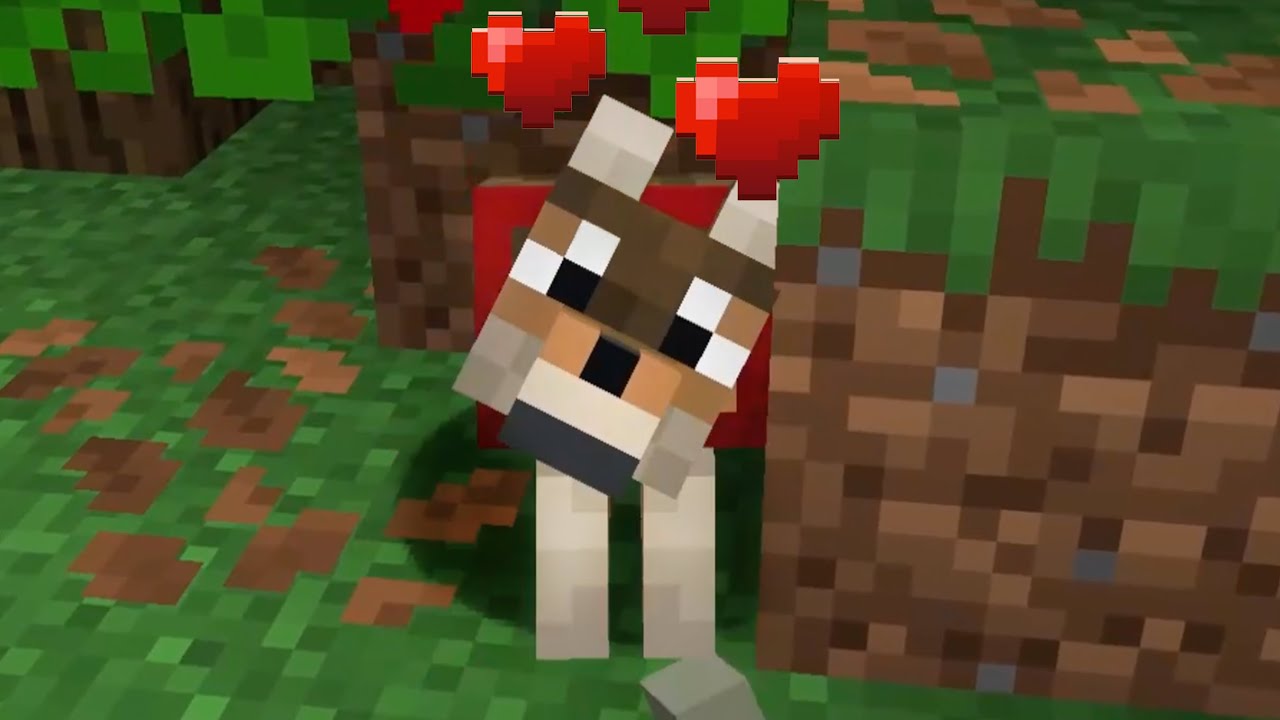I Got a Dog