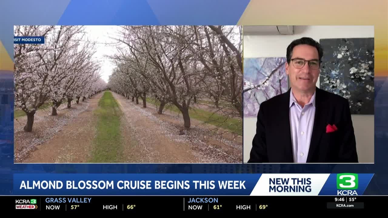 Modesto Almond Blossom Cruise begins this week