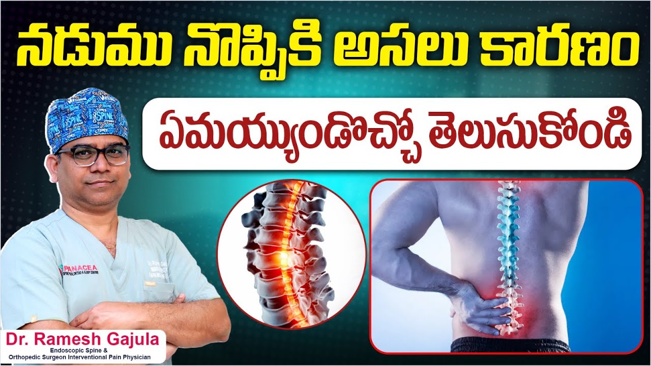 How To Diagnose Back Pain Causes | Reasons For Back Pain In Telugu | How To Cure Back Pain | Panacea
