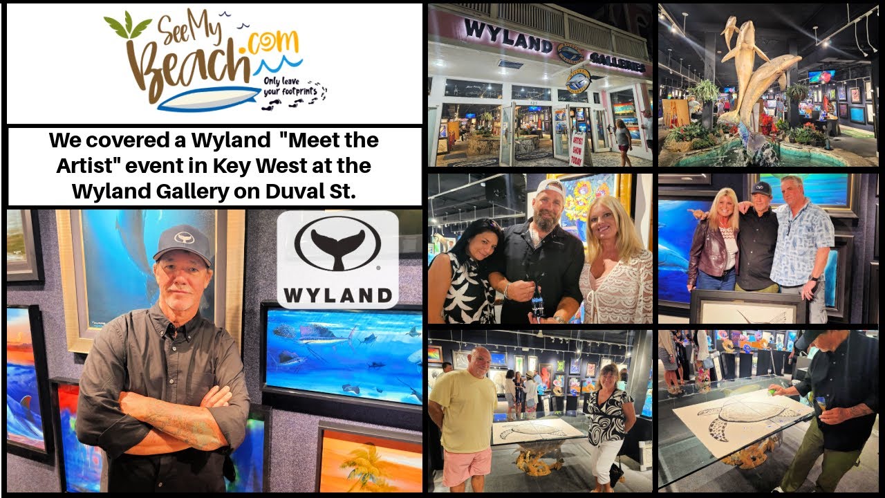 We covered the Wyland 