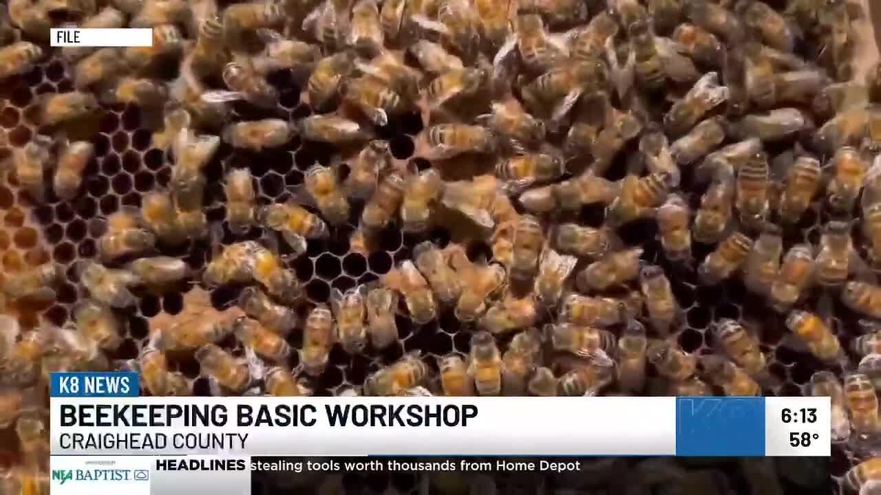 NEA Beekeepers Association hosting basics workshop March 14