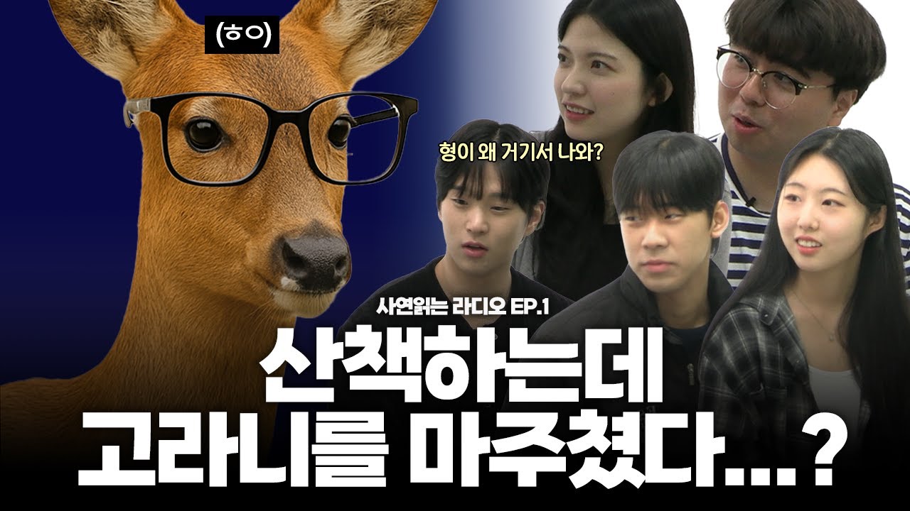 [사연읽는라디오] 산책 중에 고라니를 마주쳤다고? 이거 진짜예요? 학교 생활 좌충우돌 우당탕탕 에피소드🧐