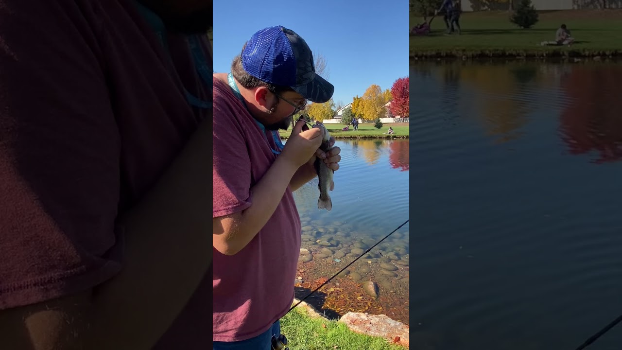 Just catching trout!!! #youtubeshorts #fishing #stockedtrout #recommended