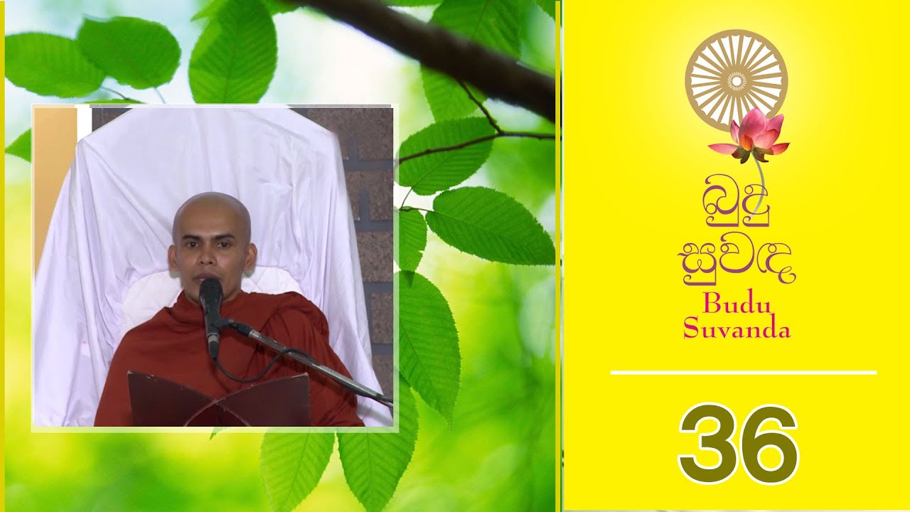 Budu Suwanda 36 | බුදු සුවඳ සවස දේශනාව 36 | Shraddha TV