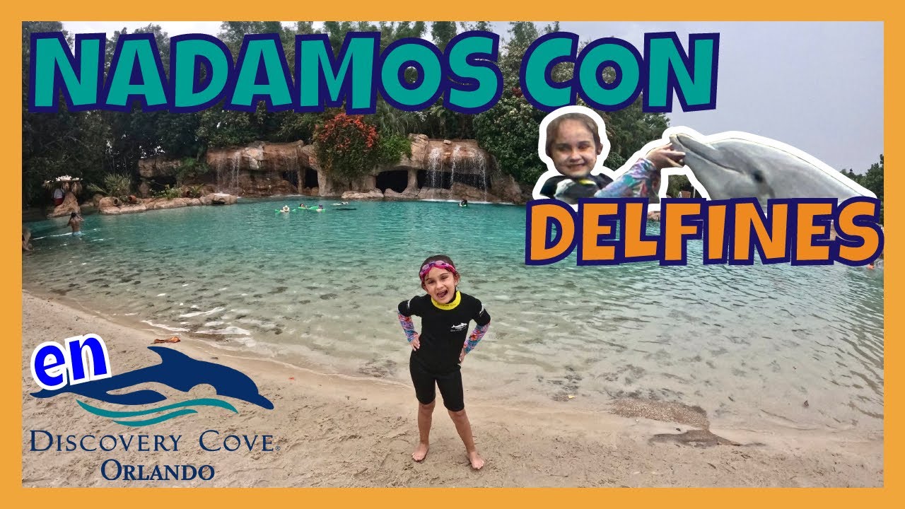 Explorando Discovery Cove! Tips y consejos para hacer tu día Perfecto!