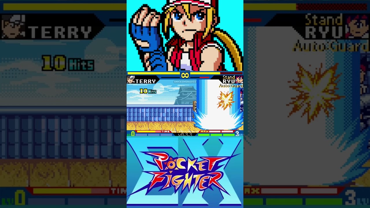 Terry Bogard Combo (Pocket Fighter EX)