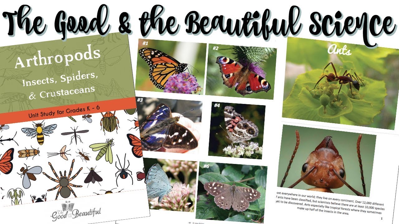 The Good and the Beautiful Science Curriculum | Unit Walk-Thru, Set-Up and Organization!