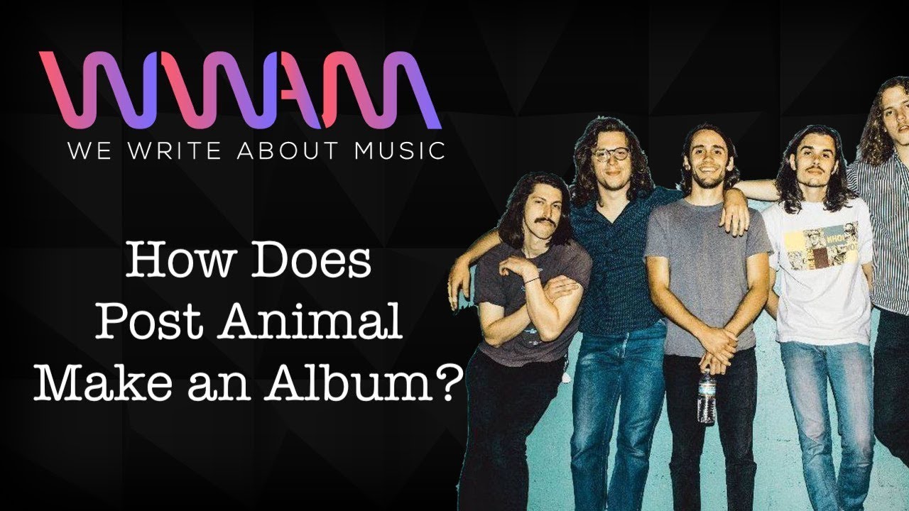 Post Animal Explain How They Make an Album