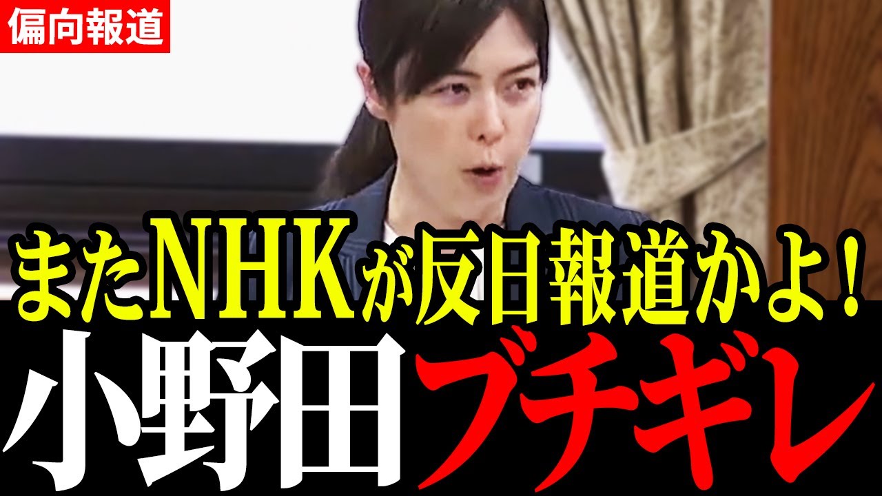 【小野田紀美】「そんなに日本を貶めたいのか！」NHKの反日報道にブチギレ！【国会中継/自民党】