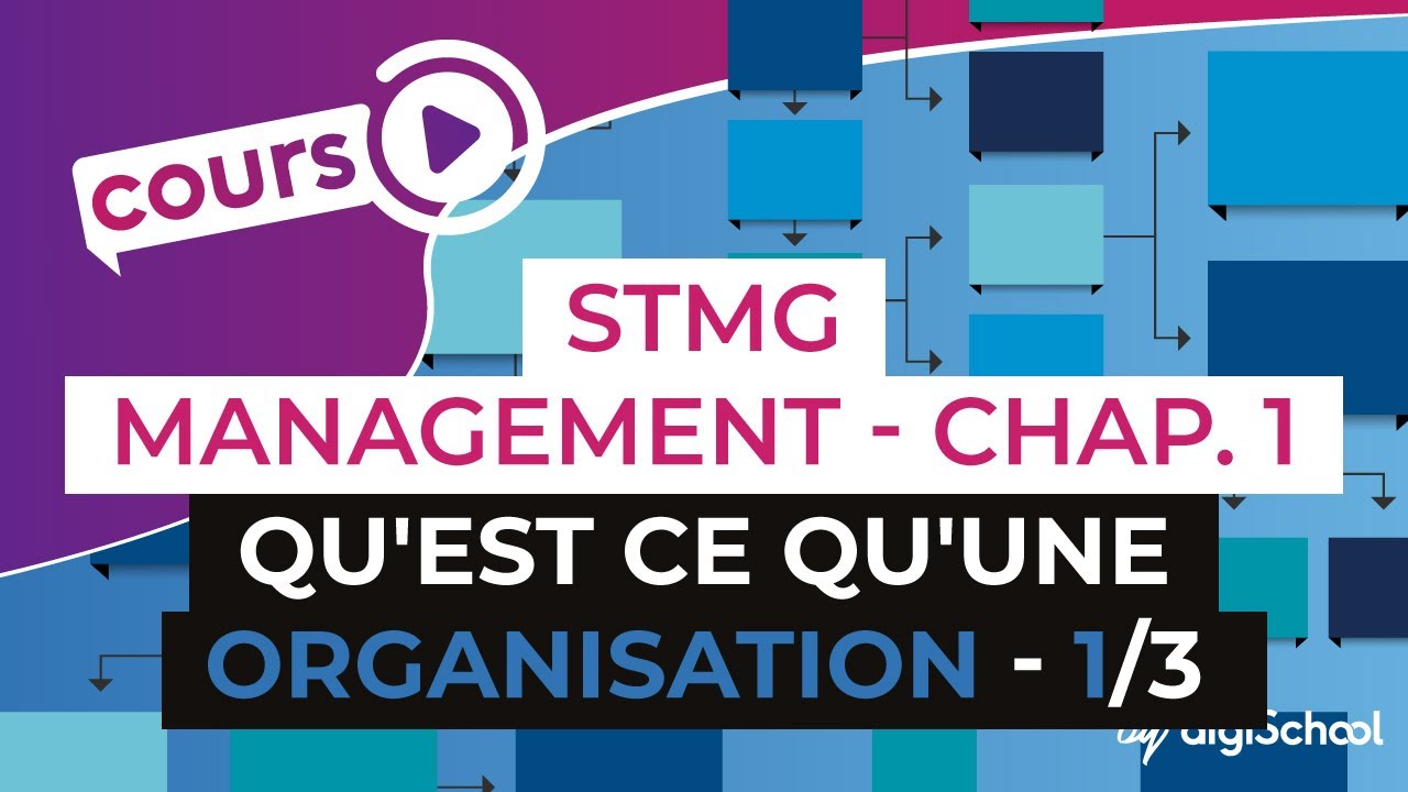Chapitre 1 : Qu'est ce qu'une organisation 1/3 - Management Bac STMG - digiSchool