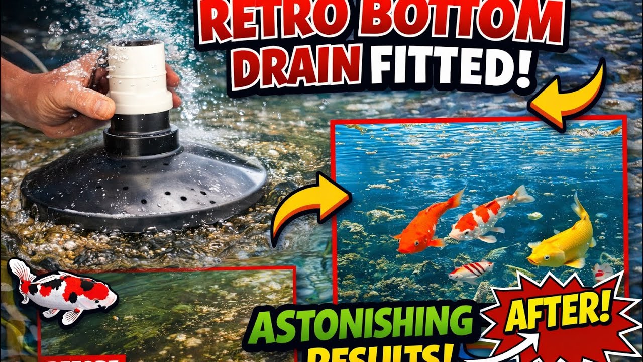 Retro bottom drain is in and fitted to my pond    #retrobottomdrain #koipond #koi #gardenponds