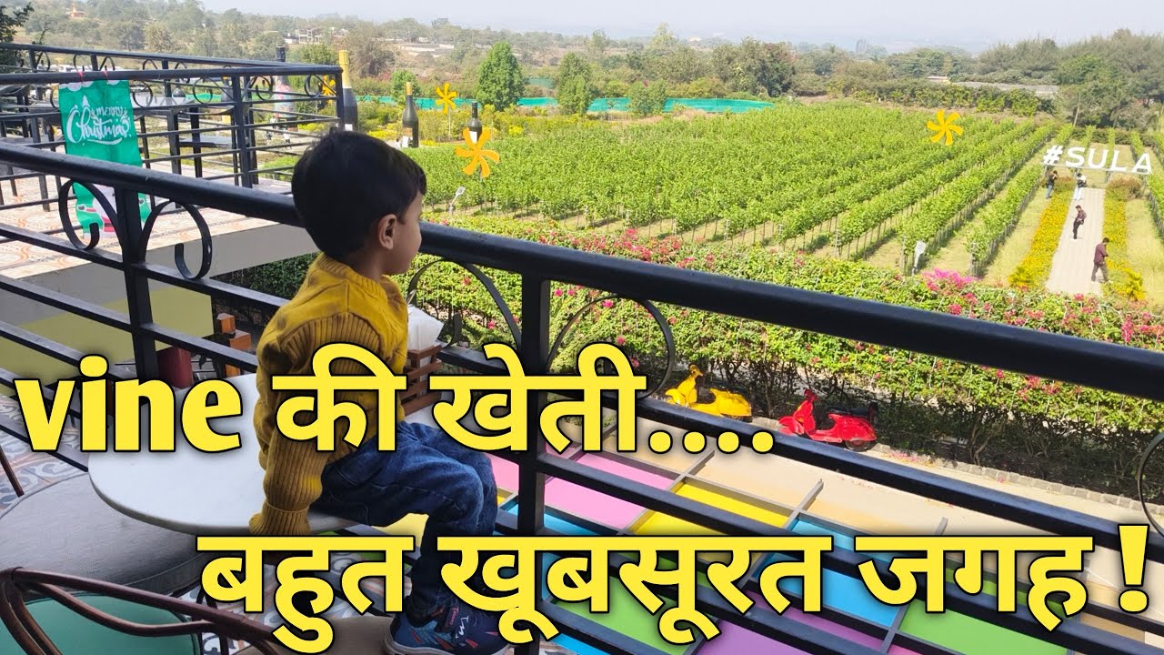 Vine की खेती, बहुत खूबसूरत जगह! @AadvaitNigamShow 